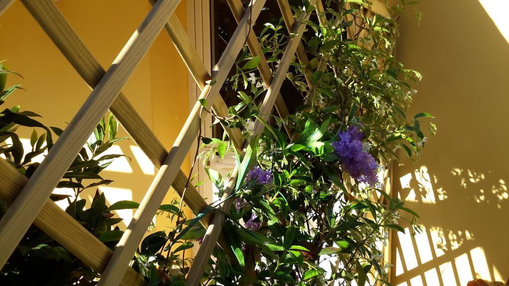 Casa Di Campagna Dal Pozzo Sorso Habitación foto